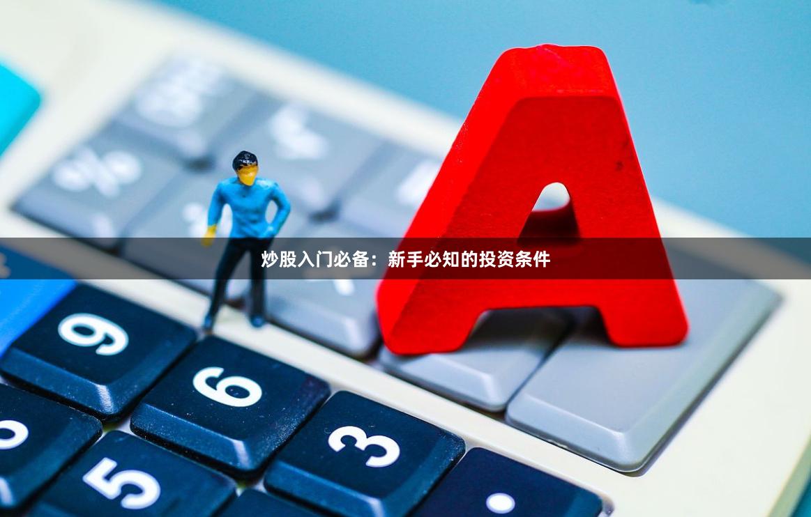 炒股入门必备：新手必知的投资条件